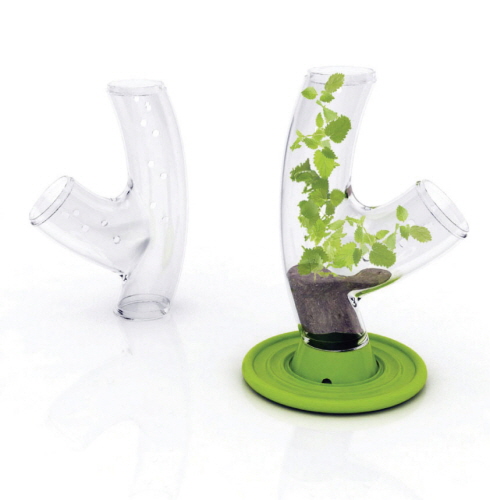 SYMBIOSIS(공생)